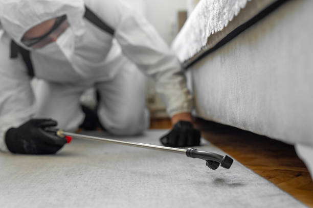 Professional Bed Bug Control technician working in Washoe Valley, NV