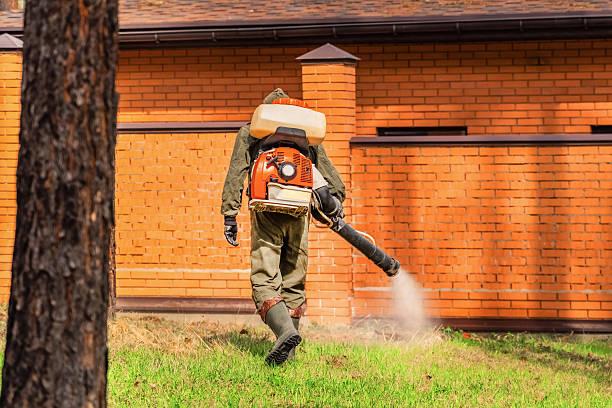 Trusted Emergency Pest Control service in Washoe Valley, NV - Nex Pest Control